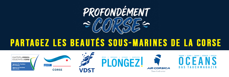 Profondément Corse — Partagez les beautés sous-marines de la Corse